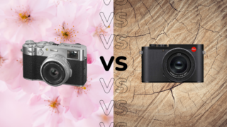 Fujifilm X100VI vs Leica Q3